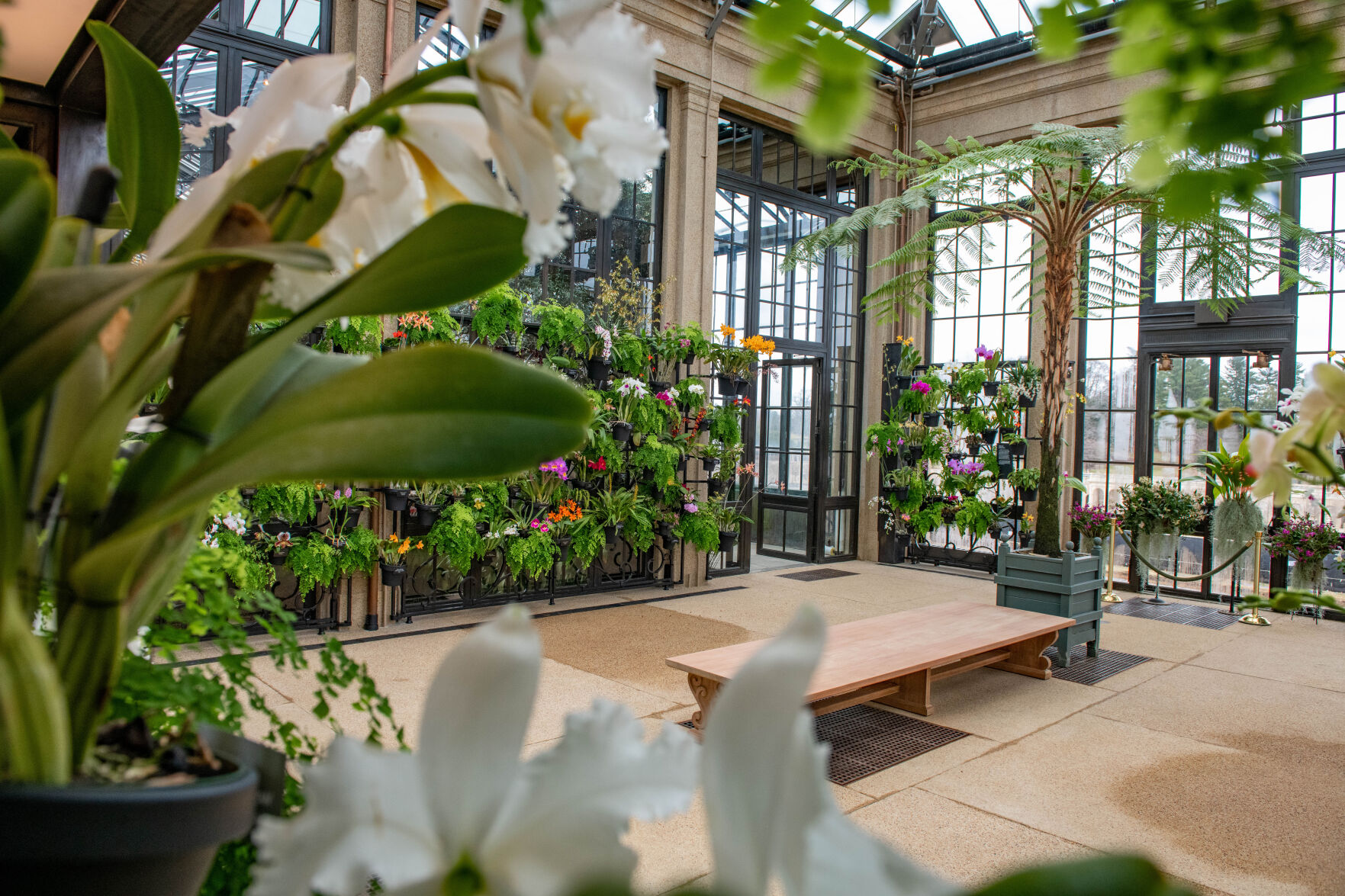 House of Orchids Longwood Gardens